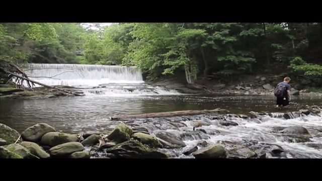 Canon Rebel T3 (EOS 1100D) Video Test смотреть онлайн