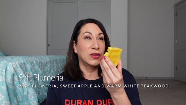 Scentsy Club: Spring Brick Scents, SOTM, plus mini haul смотреть онлайн