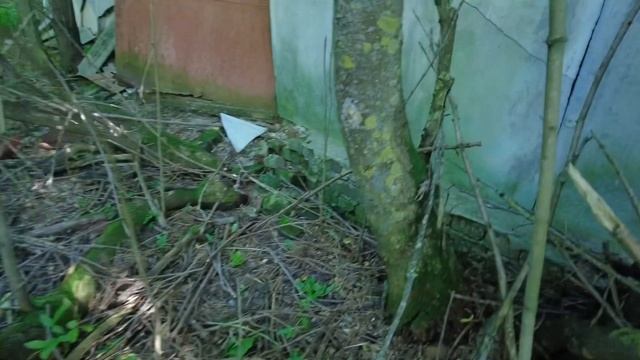 Горналь село на границе Россия-Украина // Заброшенная школа интернат // ДК / Экскурсия /Курские сёл смотреть онлайн