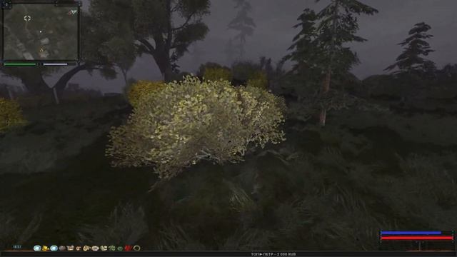 S.T.A.L.K.E.R. Путь человека. Дежавю + Outfater Add-on►21☢ Странные ПДА, Документы в Х10