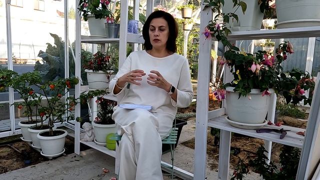 Улучшение почвы в теплице. Что нужно делать, чтобы не менять грунт в теплице? смотреть онлайн