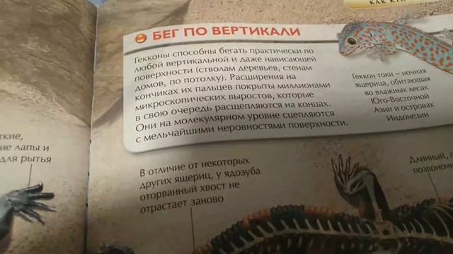 Как кто ходит! Рюк ищет новые места для пряток! смотреть онлайн