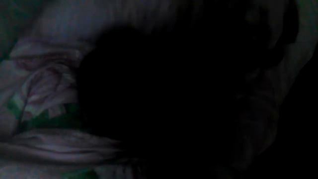 Сабака нападает на одеяло смотреть онлайн