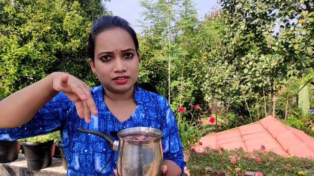 How to get more moss rose in your pot / Table Rose / Portulaca / Potting mix / Secret solution смотреть онлайн