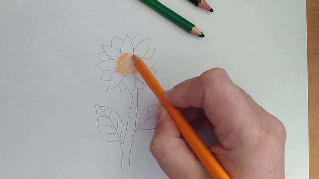 Как нарисовать подсолнух. Рисуем с детьми смотреть онлайн