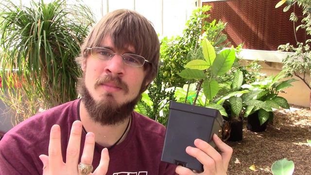 To Water or Not to Water? That is the Question! (Container Plant Success Ep. 3) смотреть онлайн