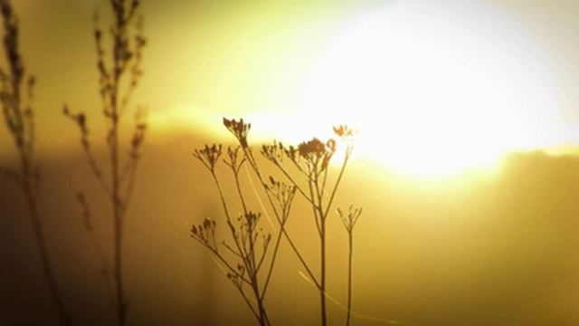 Piece TakaneSashi on Hocchiku 2.6 flute / BAmbooWay смотреть онлайн