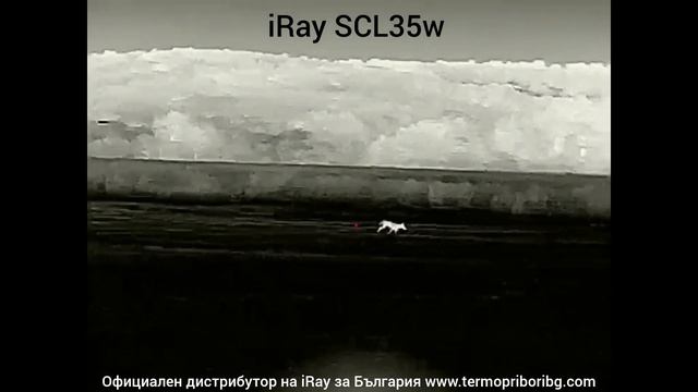 iRay Saim SCL35W три от три хищника на близки, средни и далечни дистанции. смотреть онлайн