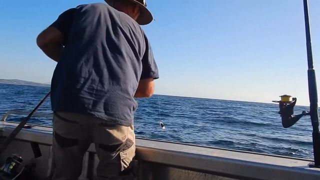Time And Tide... Solo Boat Camping, Catch And Cook Adventure... смотреть онлайн