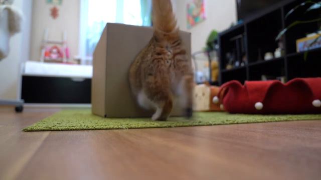 Where Is The Courier?