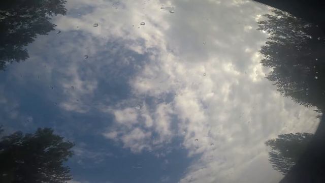 ВИДЕО БЛОГ 23 ИЮНЯ (Та самая суббота, Синячиха, Plov Project, тренировка) смотреть онлайн