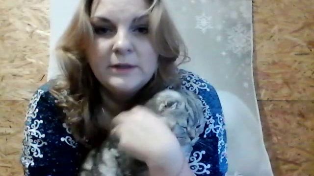 Обстригаем коту когти. Часть 1 смотреть онлайн