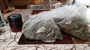 Замораживаю сосновые шишки. Ем сосновые шишки круглый год!