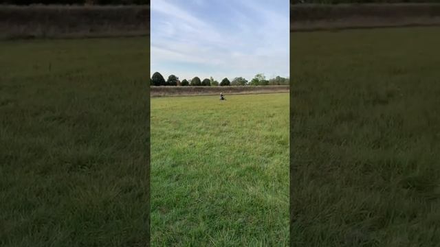 ?Teste de la 50cc apollo? смотреть онлайн