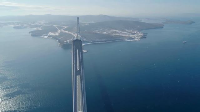 Насекомое, Которое вас Убьет смотреть онлайн