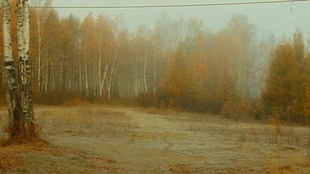 "Сокровенное" на стихотворение С.Доценко, фото материалы В.Гуринович смотреть онлайн