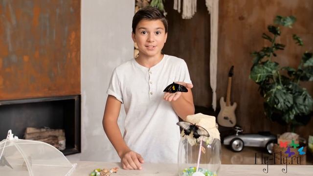 Тихон рассказывает про свою любимую бабочку Тройдес, которую он вырастил с фермой бабочек Флай-Флай