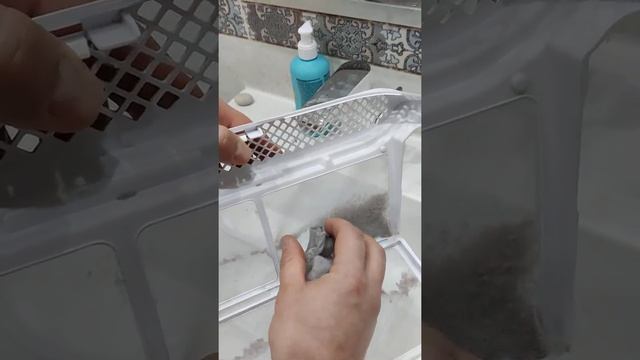 Пыль после сушки 2 компл.постельного белья/The dust after drying the underwear смотреть онлайн
