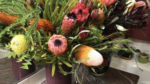 Proteas, Banksias, Leucospermum, and Leucadendrons from Wild Ridge Organics смотреть онлайн
