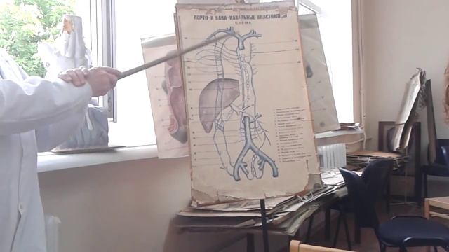 порто-, кава-кавальные анастомозы