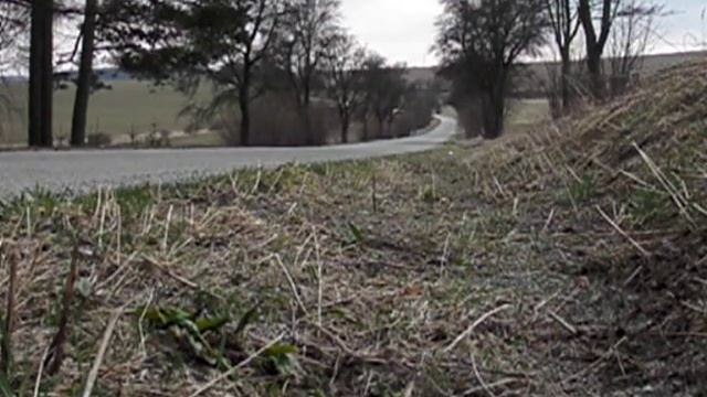 Ford Focus 2.0 Duratec смотреть онлайн