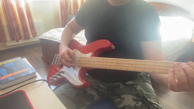 Гитарный кавер на The Offspring - Pretty Fly (For A White Guy) Guitar & Bass Cover