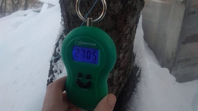 Вес крольчат 2 месяца смотреть онлайн