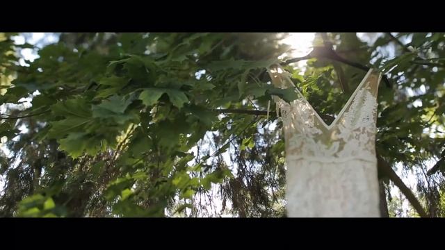 Очень трогательный ролик со свадьбы Елены и Сергея 23 августа 2015 смотреть онлайн