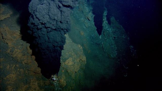 BBC: Планета Земля 11 серия «Глубины океанов» (сериал, 2006) смотреть онлайн