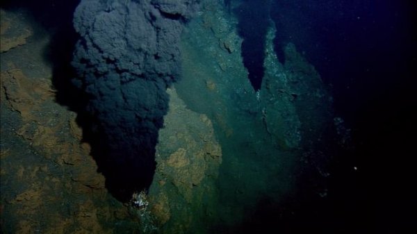 BBC: Планета Земля 11 серия «Глубины океанов» (сериал, 2006)