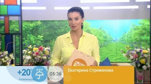Екатерина Стриженова