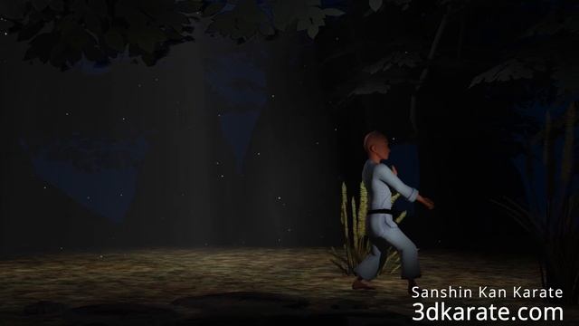 Nipaipo, Karate Kata Shito-ryu 3D-animation