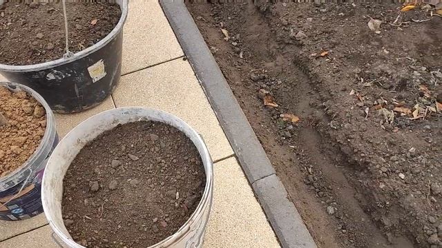 Поздняя посадка тюльпанов в ноябре смотреть онлайн
