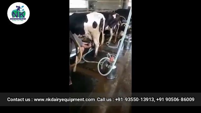 GEA Milking Machine Dable Bucket смотреть онлайн