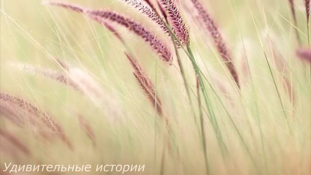 Таня нехотя брела домой, где её ждал беспомощный муж. А когда она вошла в квартиру, то увидела... смотреть онлайн