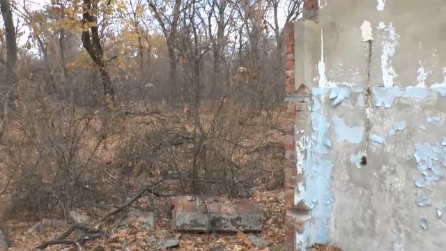 ВОСКРЕСНАЯ ПРОГУЛКА смотреть онлайн