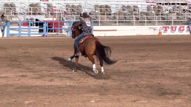 Tucson Rodeo Barrel Racing Slack Tuesday: Sue Smith смотреть онлайн