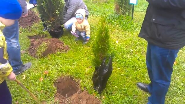 Акция "Посади своё дерево 2016". 1"Д" класс. 4я школа г. Домодедово 17.09 смотреть онлайн