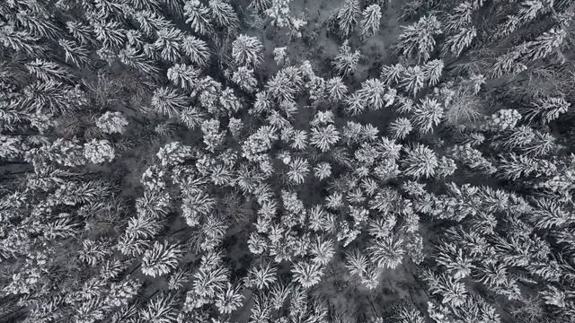 Стих про вьюгу смотреть онлайн