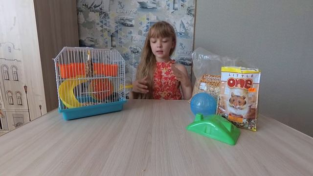 Завели хомяка?... Что нужно для появления хомяка дома | стартовый набор смотреть онлайн