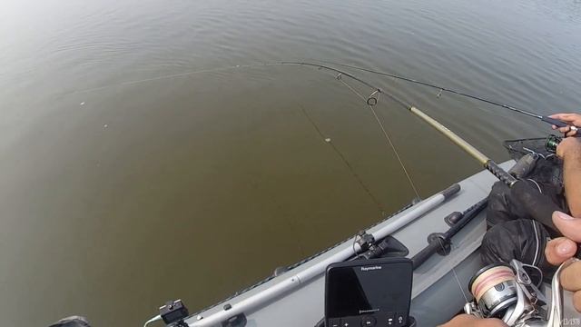 Рыбалка на Оби, отдых в тайге, лесная избушка в лесу смотреть онлайн