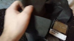 Самая низкая температура для разведения червей.Разведение червей Дендробена.