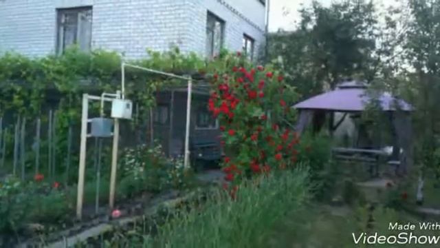 Как выглядит моя 2 дача ( Белая церква) смотреть онлайн