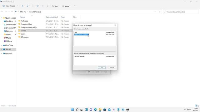 Windows 11 File and Folder Encryption смотреть онлайн