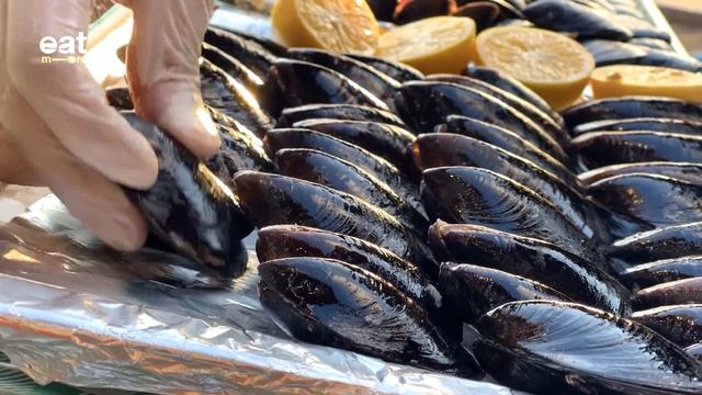 Seagull Invasion In Istanbul | Istanbul Kumkapı Fish Market