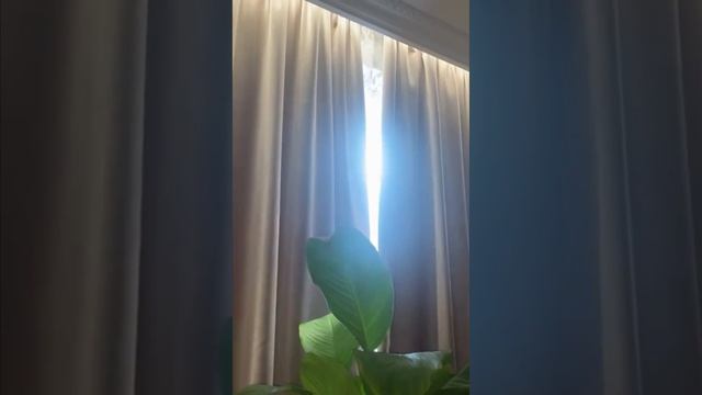 Отзыв клиента смотреть онлайн