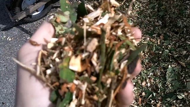 5 Cubic Yards Of Free Wood Chips/mulch!