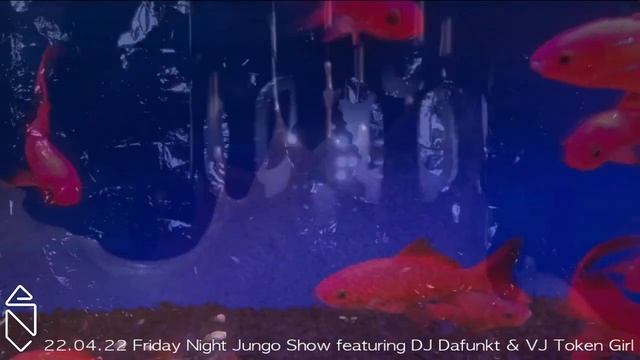 Friday night Jungo 22.04.22 pt1 with guest Defunkt and VJ Token girl part 1 смотреть онлайн