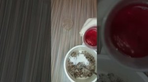 Насадочный пеллетс своими руками. Пеллетс на карпа,  карася.