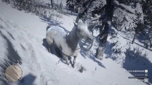 ГДЕ НАЙТИ АРАБСКОГО СКАКУНА ! ПРИРУЧАЕМ ЛУЧШУЮ ЛОШАДЬ ! В Red Dead Redemption 2